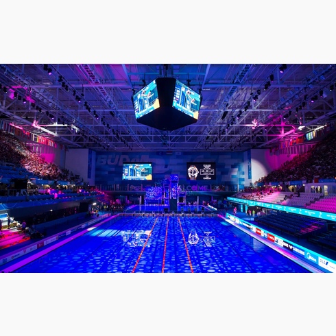 Чемпионат мира по водным видам спорта состоится в Будапеште