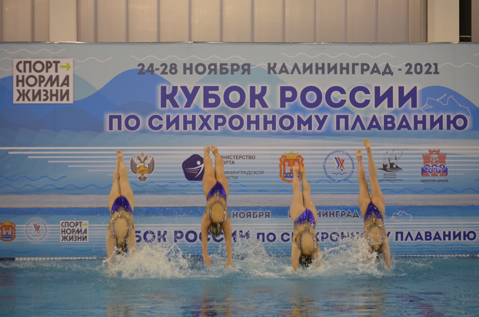 Этап кубка россии по плаванию